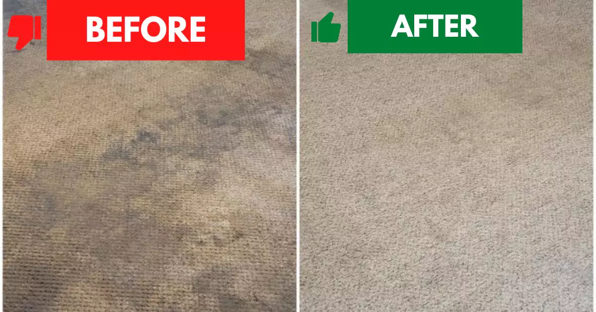 Carpet Cleaning Before and After